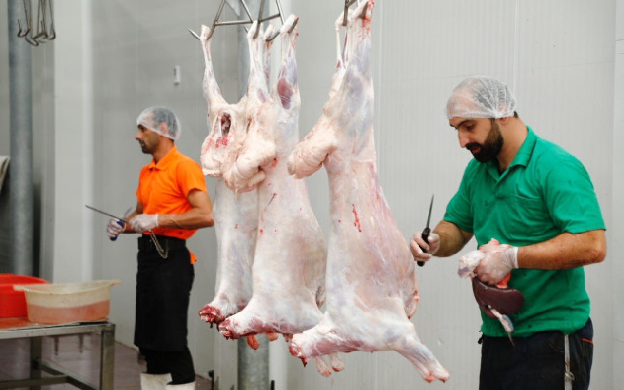 Qurban bayramında heyvanların satış və kəsim yerləri - ÜNVANLAR