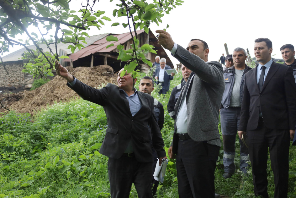 “Daşkəsən və Göygöldə aqrar inkişafa dəstək” layihəsi çərçivəsində monitorinq və icmalarla görüşlər keçirilir - FOTO