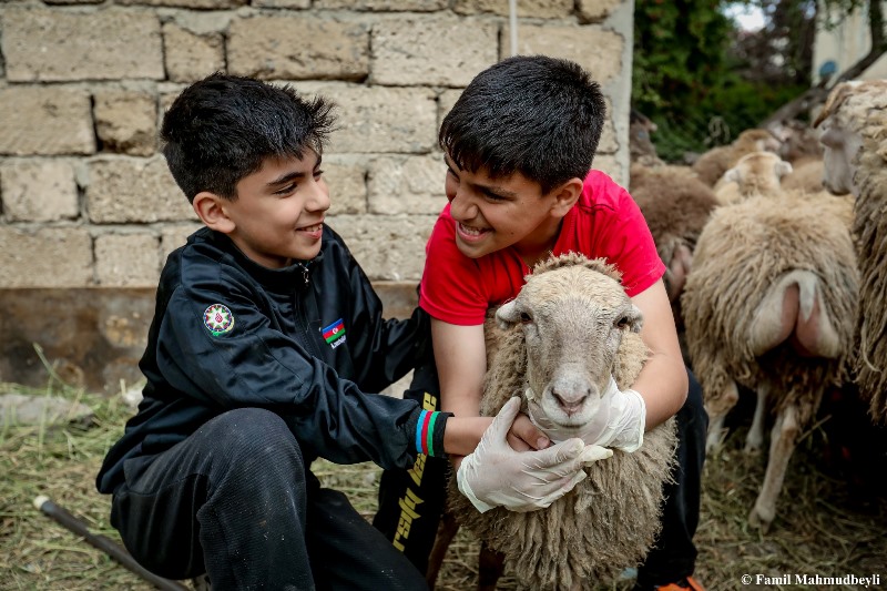 Azərbaycanda Qurban bayramı qeyd olunur - FOTOLAR
