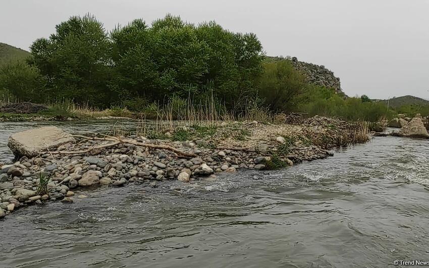 Kür çayında 45 santimetr ARTIM