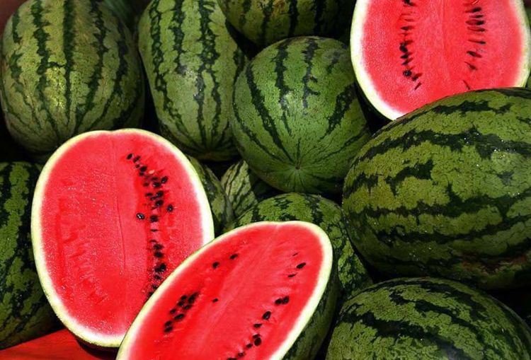 Mövsümü olmayan qarpız Azərbaycana haradan gətirilib?