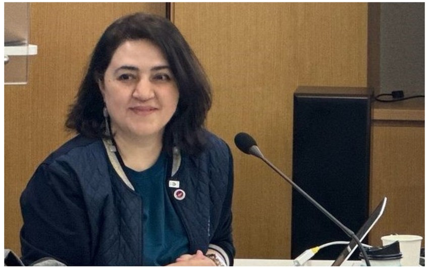 Bu instituta direktor təyin edildi