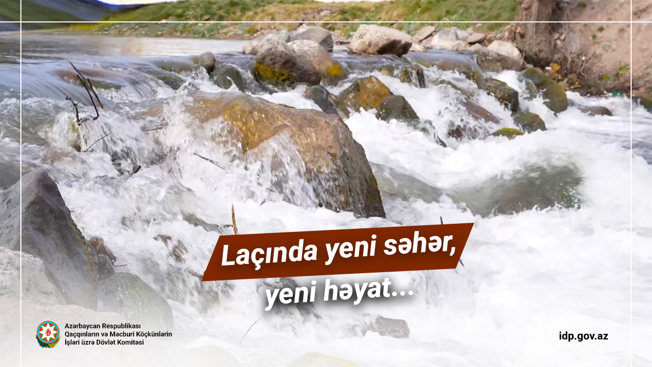 Laçında yeni səhər, yeni həyat... - VİDEO