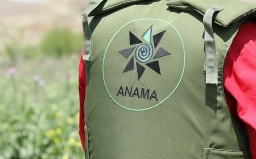 ANAMA işçi axtarır