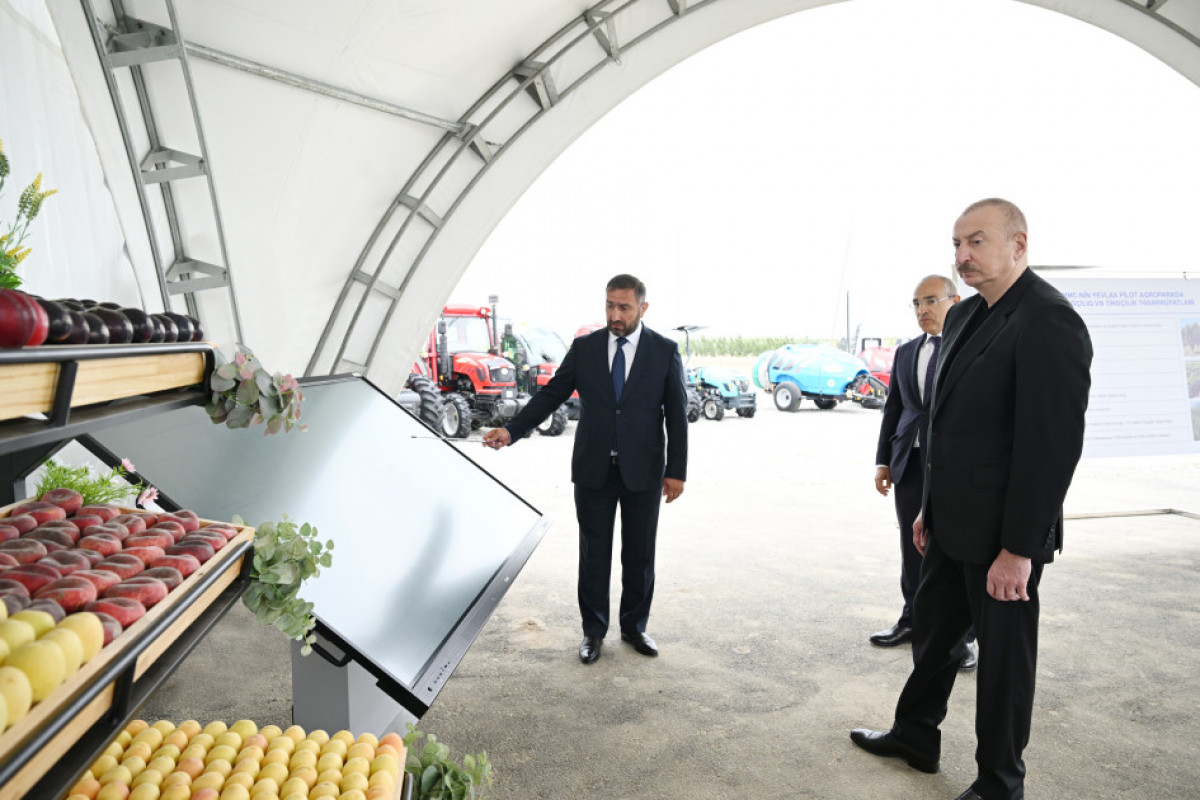 Prezident Yevlaxda aqroparkın açılışında