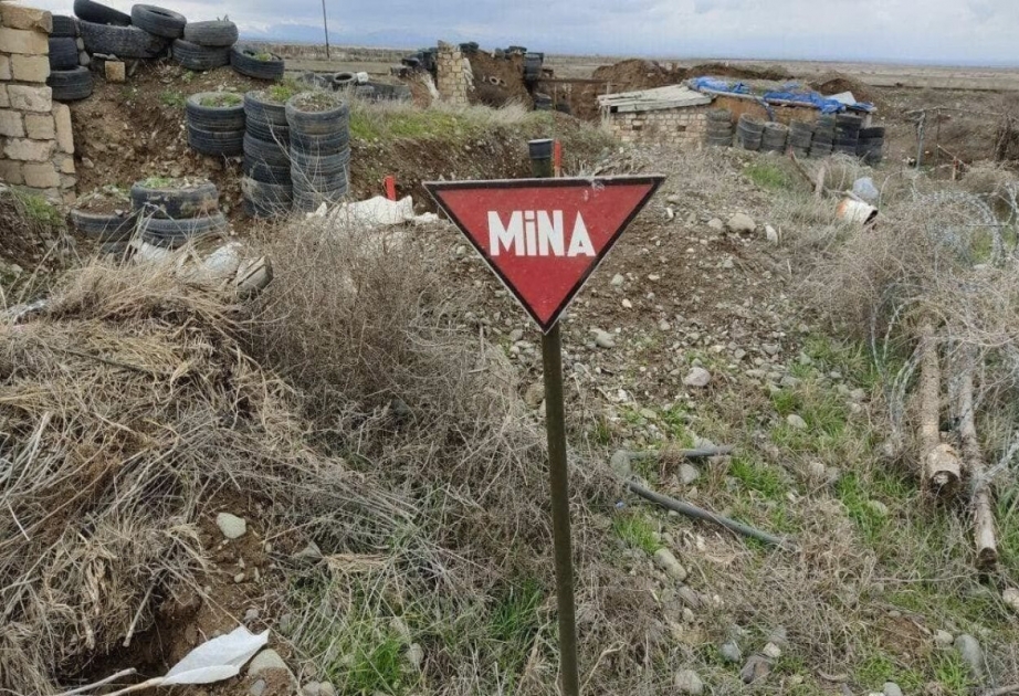 Mina qurbanlarının sayı 399-a çatıb - RƏSMİ