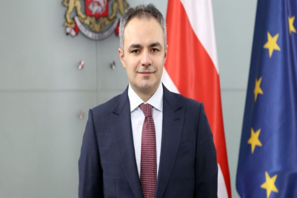 Gürcüstanda daha bir nazir istefa verdi