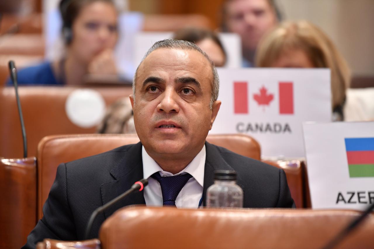 Azay Quliyev ATƏT PA-nın iclasında Ukraynanı dəstəklədi