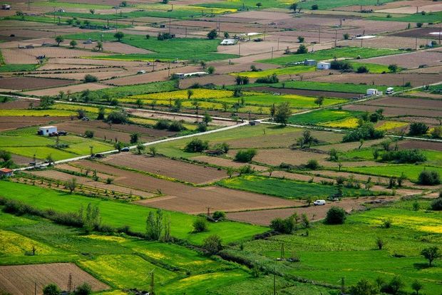 Bakıda torpaqlar sürətlə bahalaşır 