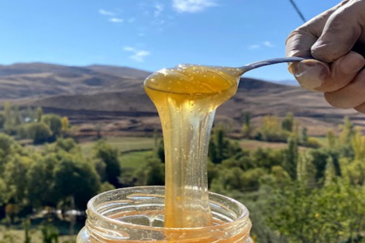 Azərbaycanda bal bahalaşır