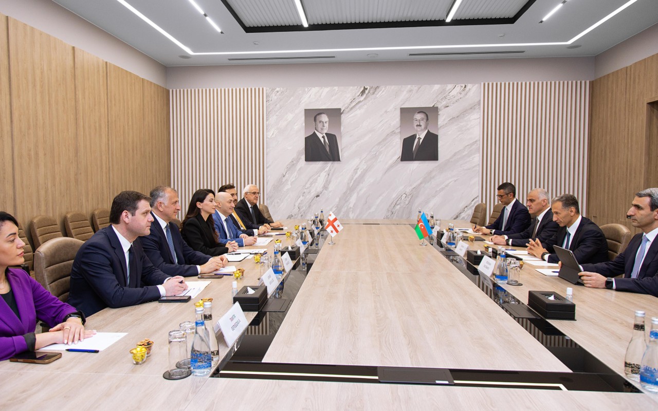 Rəşad Nəbiyev gürcüstanlı nazirlə müzakirə apardı