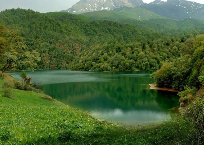 Nazirlik yeni milli parklarla bağlı məlumat yaydı