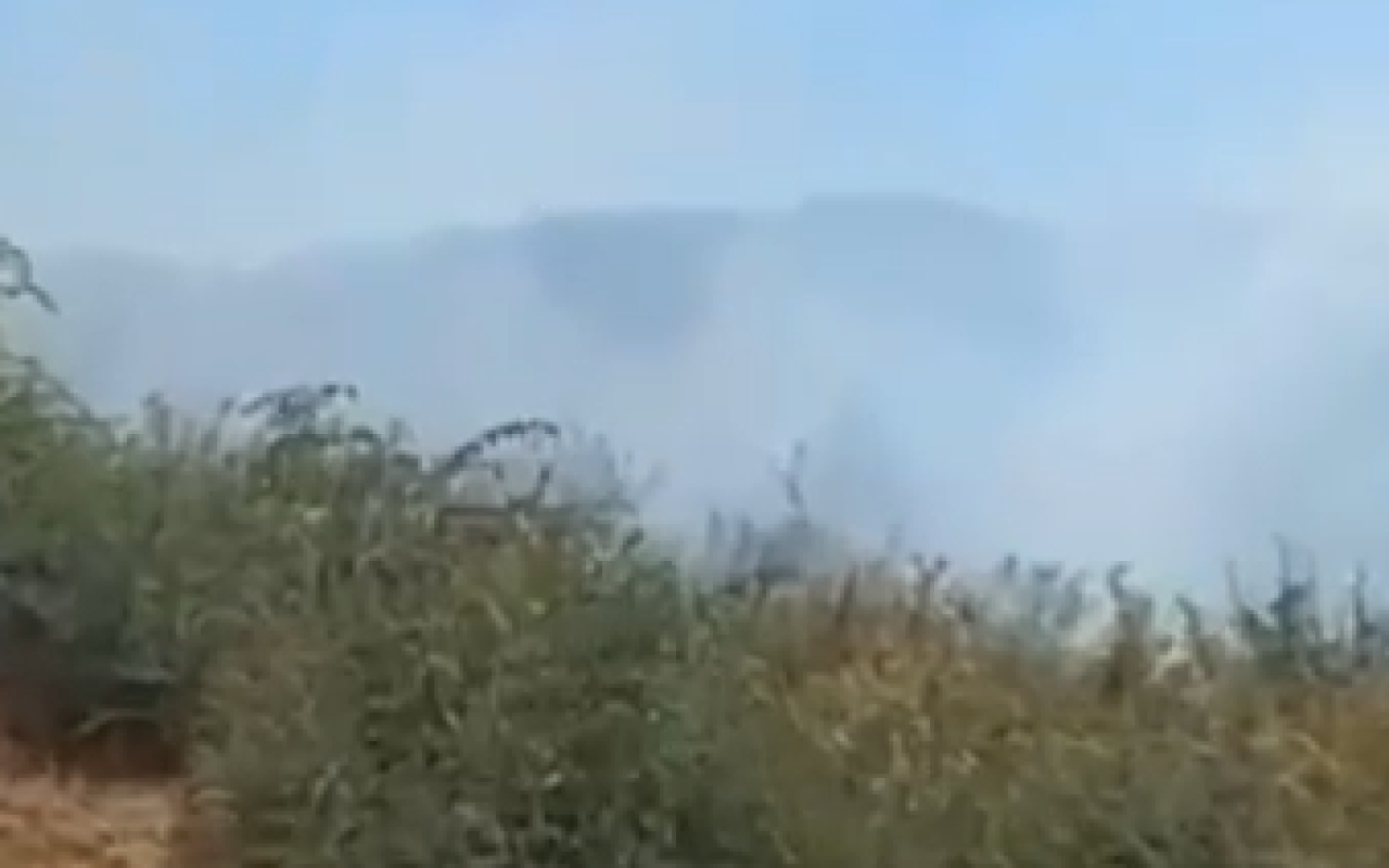 Cəlilabadda meşə YANIR
