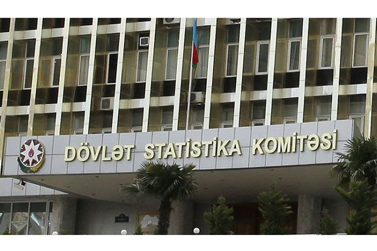 Statistika Komitəsinin bəzi qərarlarında dəyişiklik edildi