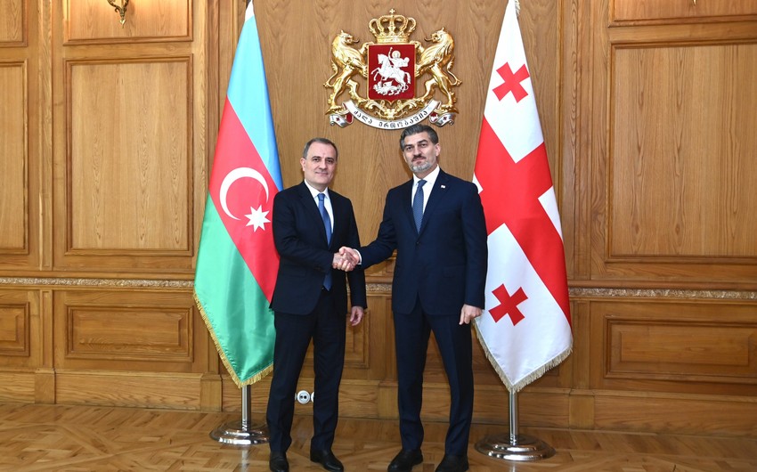 Ceyhun Bayramov Gürcüstan Prezidenti ilə görüşdü