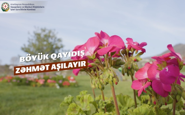 Böyük Qayıdış zəhmət aşılayır - VİDEO 