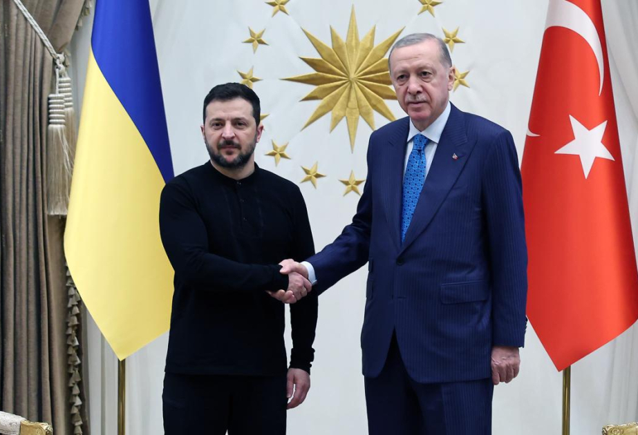 Ərdoğan Zelenski ilə nələrdən danışdı