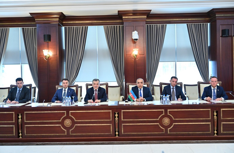 Rumıniyalı deputatlar Milli Məclisdə - FOTO