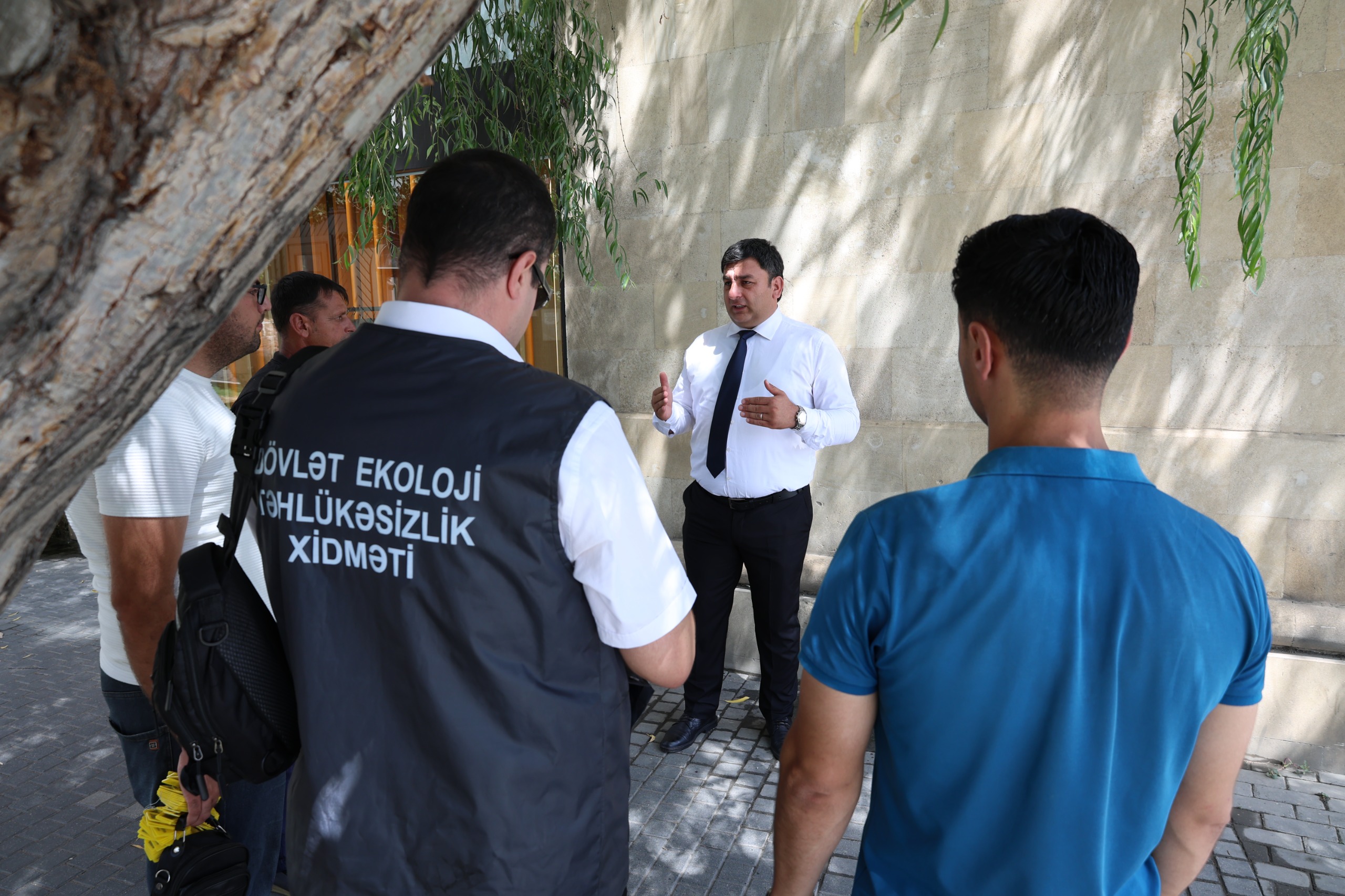“İçərişəhər”də ağaclar nömrələnir - FOTO