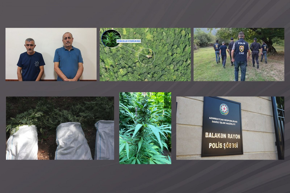 Polis dağlarda əməliyyat keçirdi - Silahlı şəxslər tutuldu