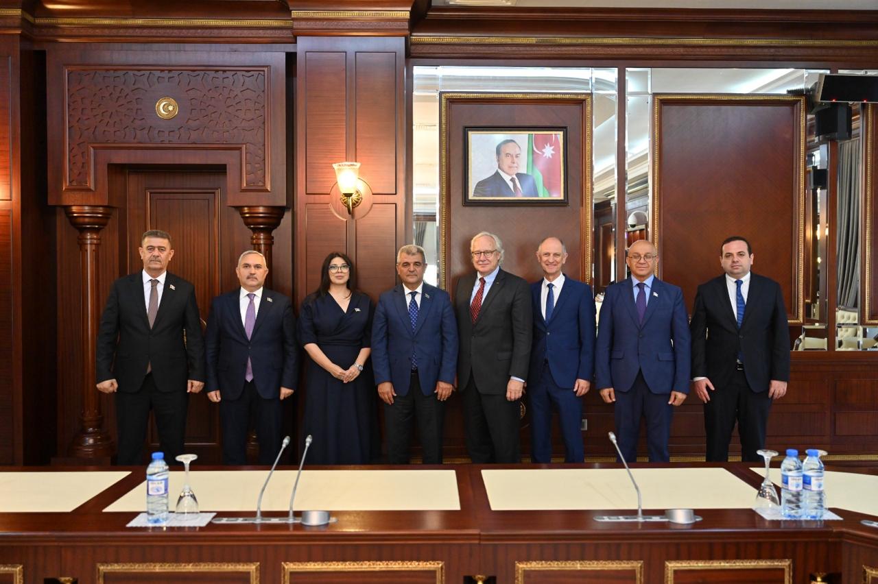 Milli Məclisin komitəsində almanlarla görüş keçirilib