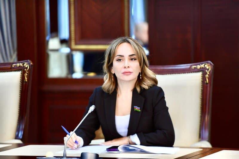 Rəqəmsal savadlılıq və virtual təhlükəsizlik