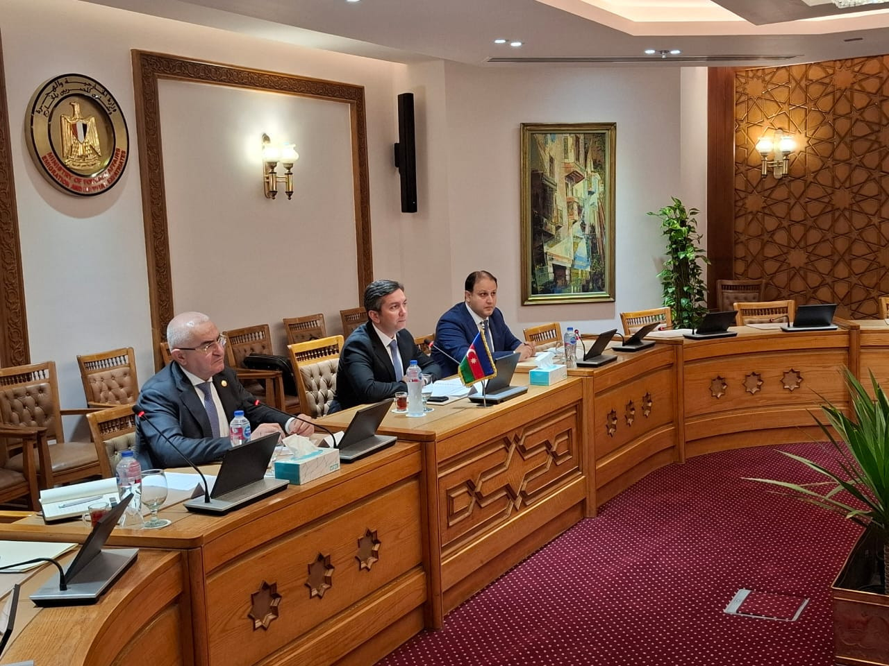 Nazir müavini Misirdə