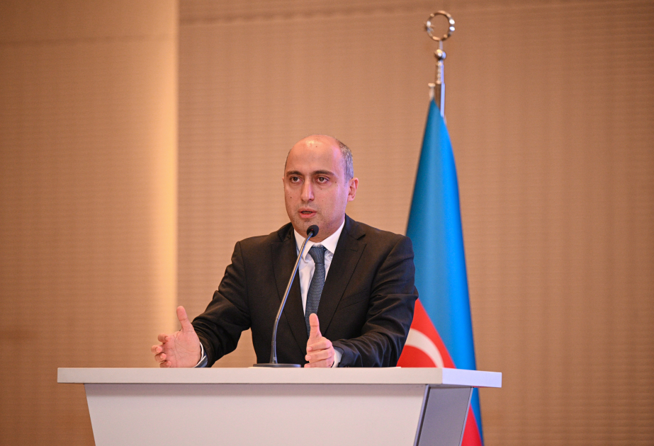 Cəmiyyət elə bilir ki, biz problemi başa düşmürük  - Emin Əmrullayev