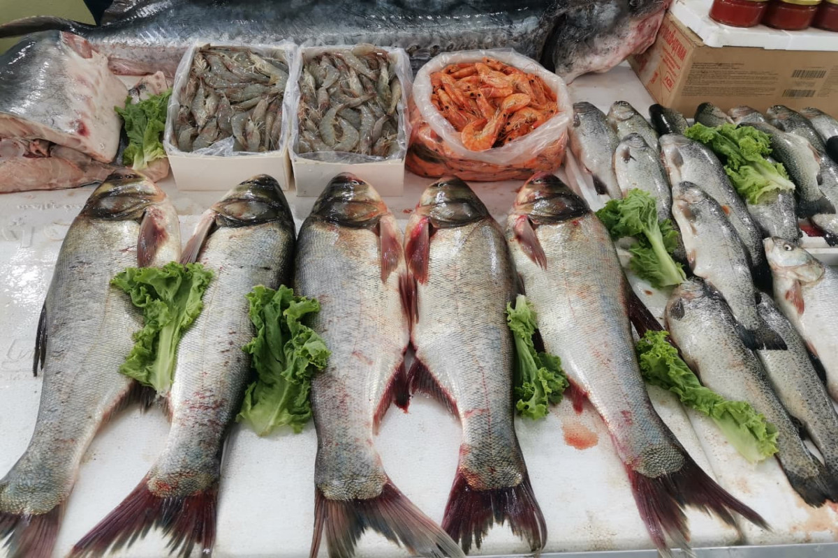 Bakıda balıq yarmarkası fəaliyyətə başladı - FOTO