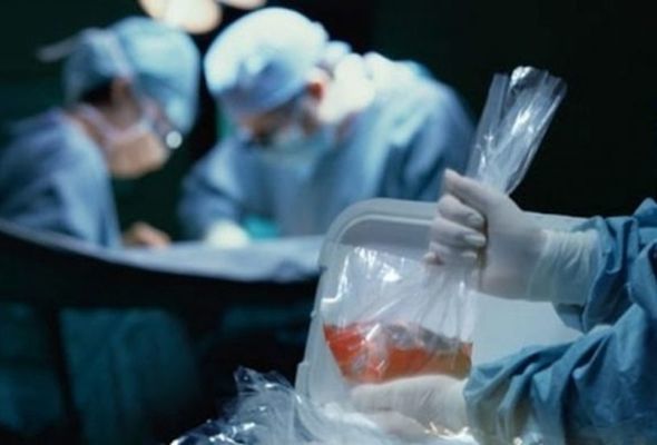 Reanimasiyada olan bütün xəstələr donor mənbəyimizdir - Mərkəz sədri