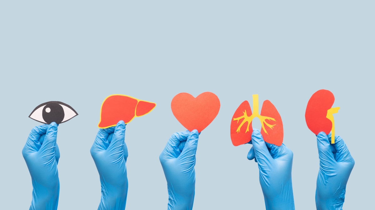 5 il ərzində “Türk transplant” platforması yaradılacaq