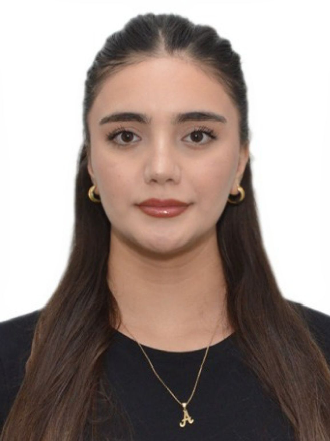 Reinteqrasiya, inkişaf və dövlətçilik konsepsiyası