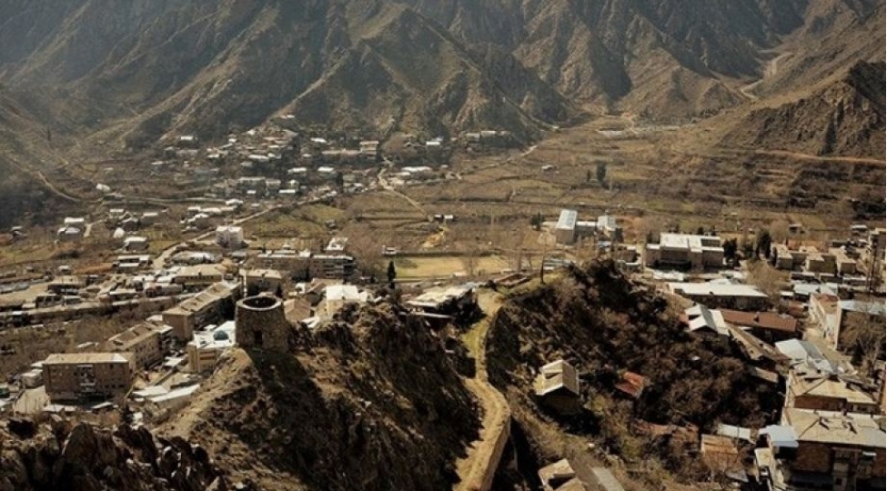 &ldquo;Bir Elin Manifesti&rdquo; - Zərli buta