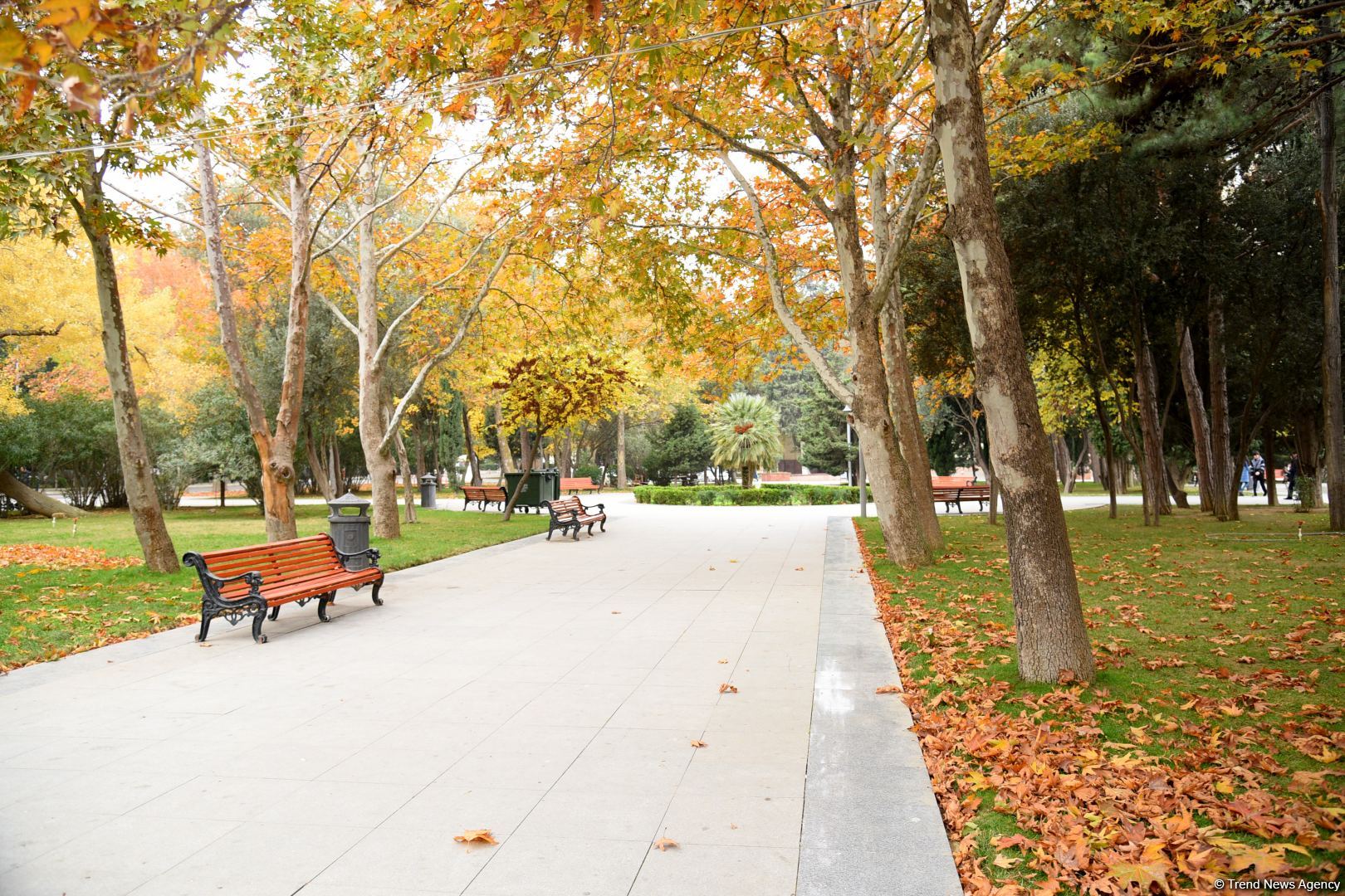 Sentyabrda aylıq temperatur iqlim normasından aşağı olub