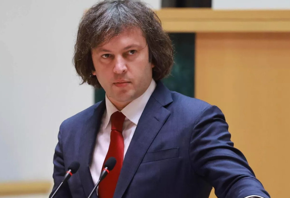 Aksiyaya əcnəbilər və diplomatlar dəstək verib - Kobaxidze