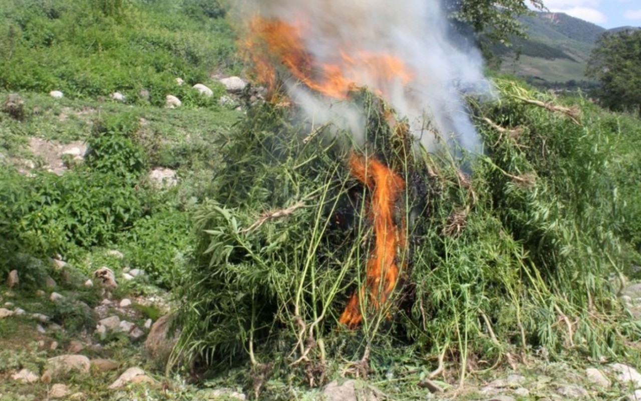 Müsadirə olunmuş narkotik vasitələr məhv edildi