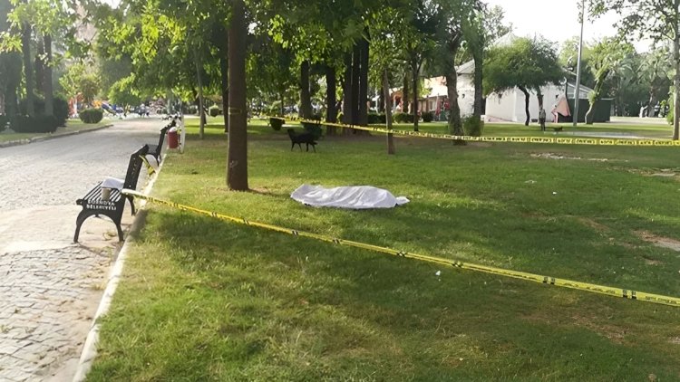 Parkda huşsuz vəziyyətdə aşkarlanan kişi ÖLDÜ