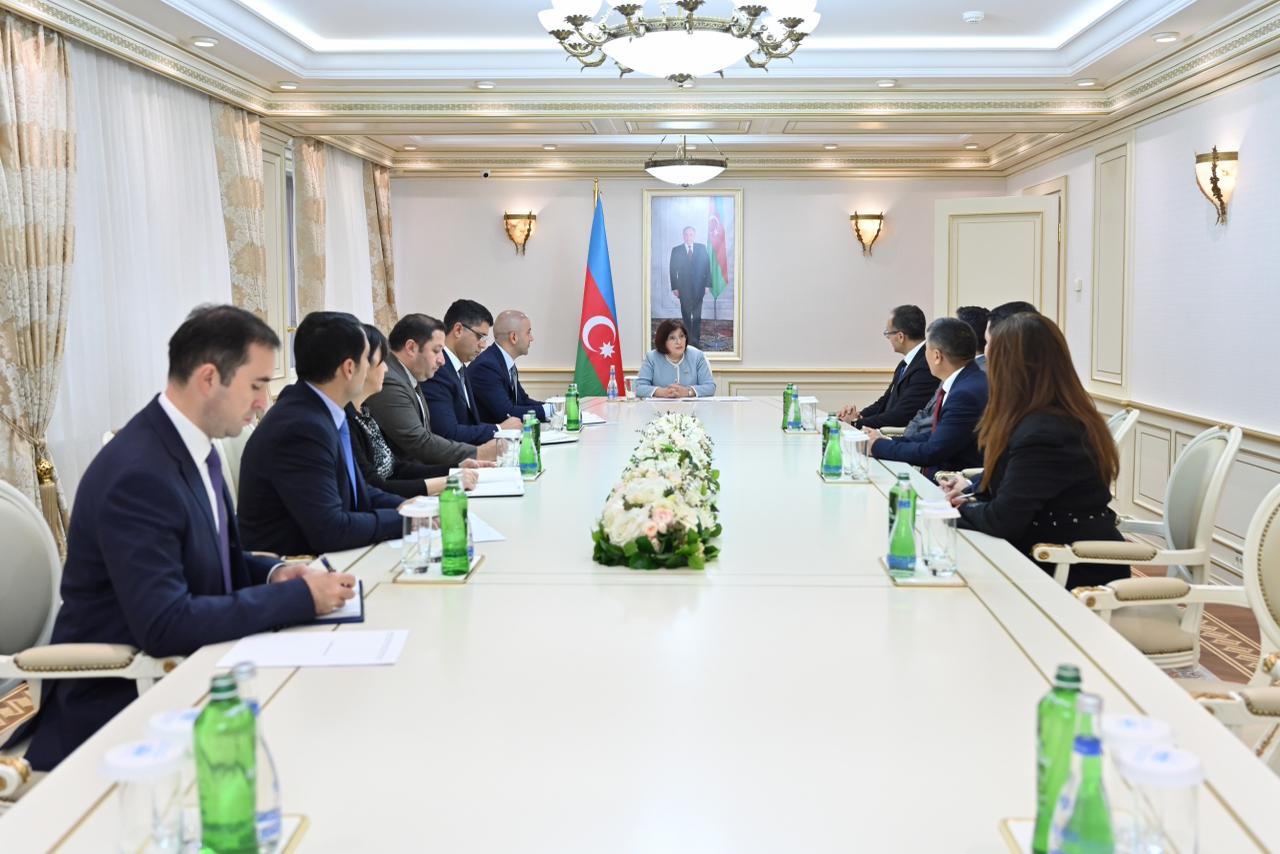 Sahibə Qafarova Ramil Həsəni qəbul etdi