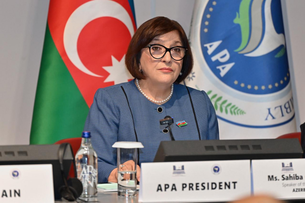 Sahibə Qafarova Cenevrə görüşünə sədrlik etdi - FOTO