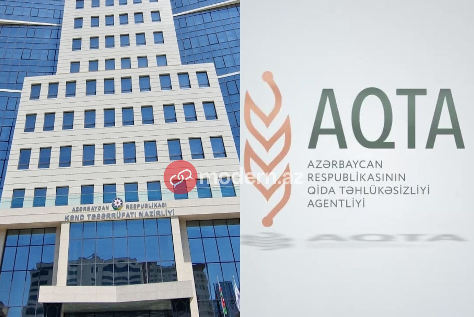 Dabaq xəstəliyi: Heyvanları kim peyvəndləməlidir? - Qurumlar məsuliyyəti bir-birinin üzərinə atdı