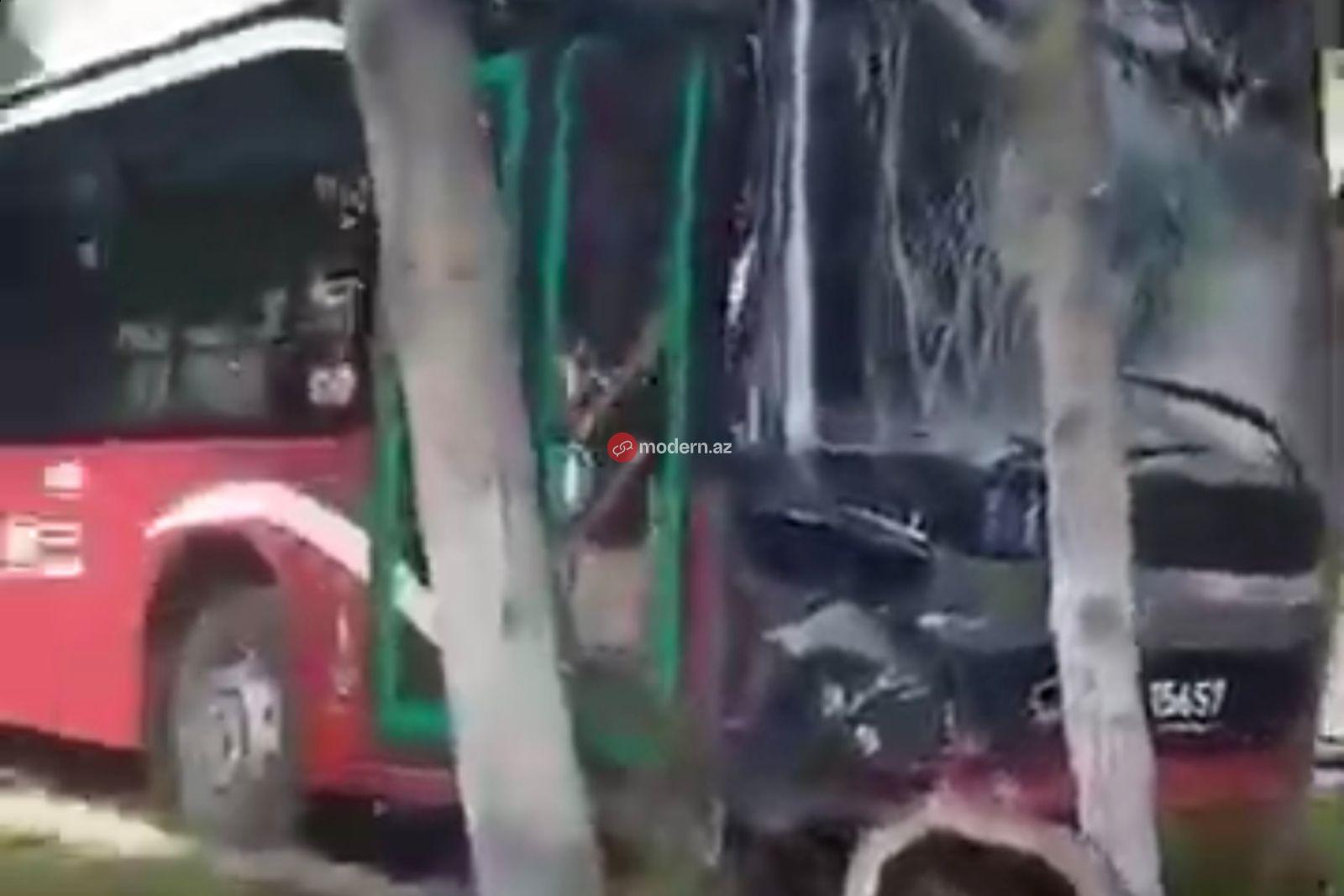 125 nömrəli avtobus bulvarda ağaca çırpıldı: sürücü yaralandı - VİDEO