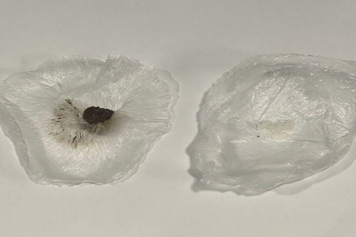 Cəzaçəkmə müəssisəsinə narkotik keçirilməsinin qarşısı alındı - FOTO