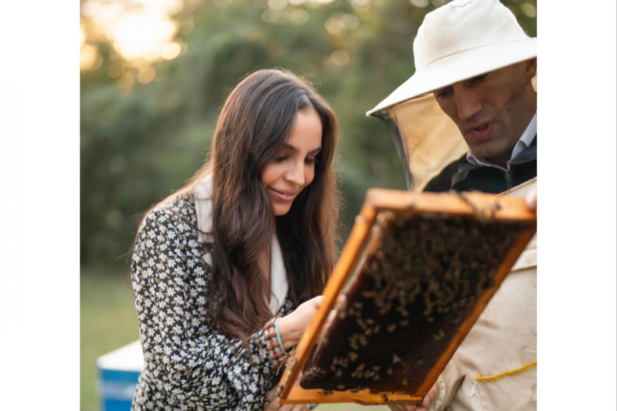 Leyla Əliyeva Qəbələdə arıçı ailəsinin qonağı olub - FOTO