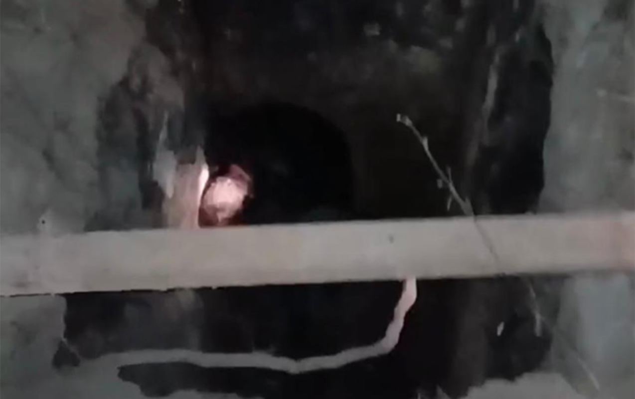 65 yaşlı kişi quyuya düşdü - FOTOLAR