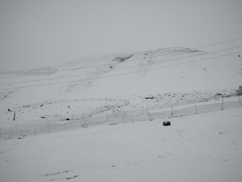 Qubaya 10 santimetr qar yağdı, mənfi 3 dərəcə şaxta var - FOTO