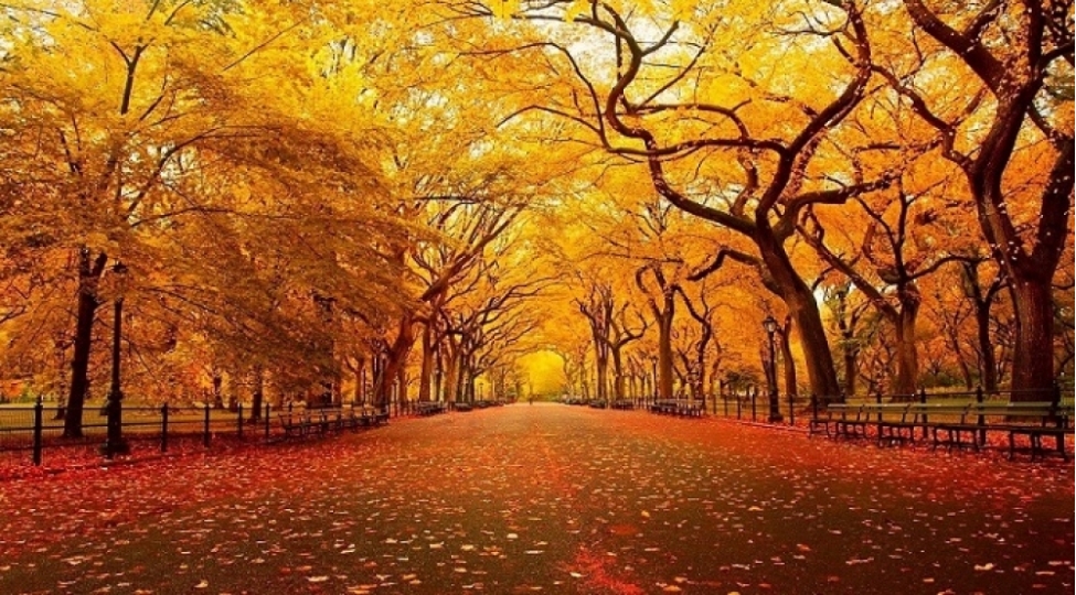 Oktyabrda Azərbaycanda müşahidə olunan hava PROQNOZU