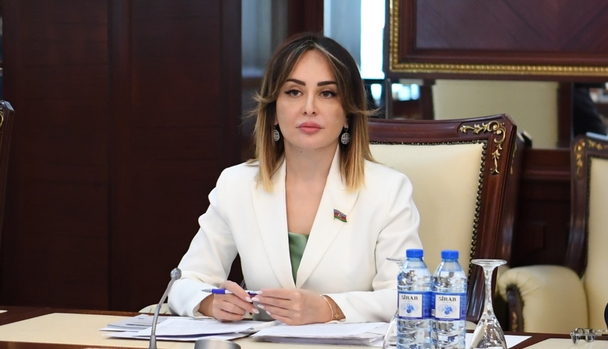 Kiber hücumlarla mübarizə strateji hədəflər sırasındadır