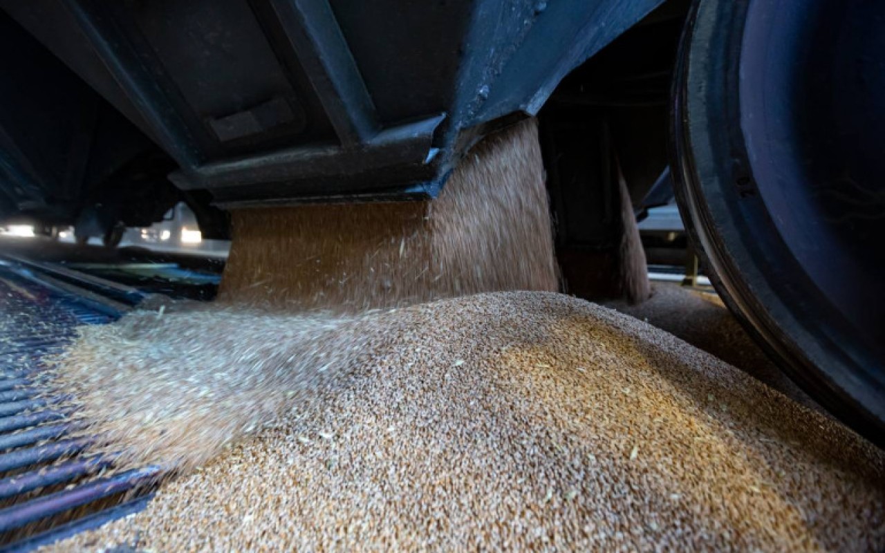 Üç ayda Ermənistana 132 vaqon buğda göndəriləcək