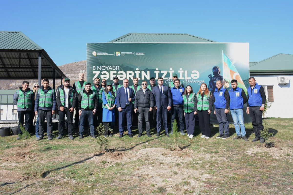 Kəlbəcərdə ağacəkmə aksiyası - FOTOLAR