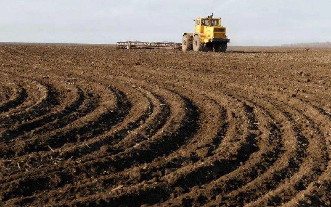 Azərbaycanda növbəti torpaq hərracları elan edildi